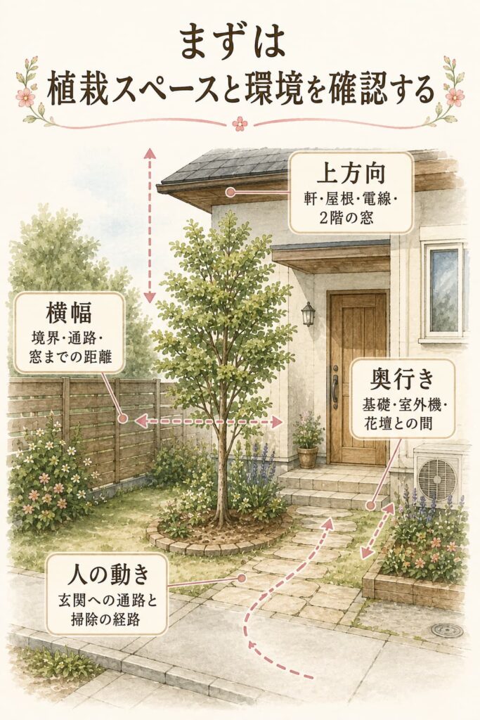 まずは植栽スペースと環境を確認する