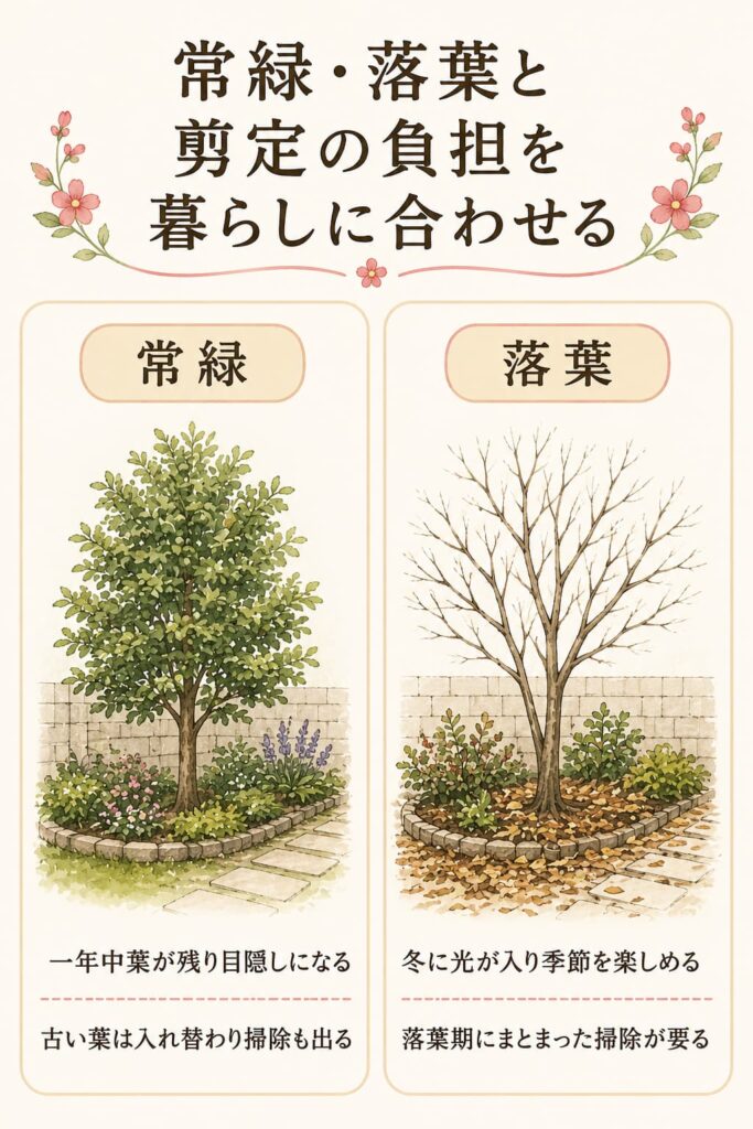 常緑・落葉と剪定の負担を暮らしに合わせる
